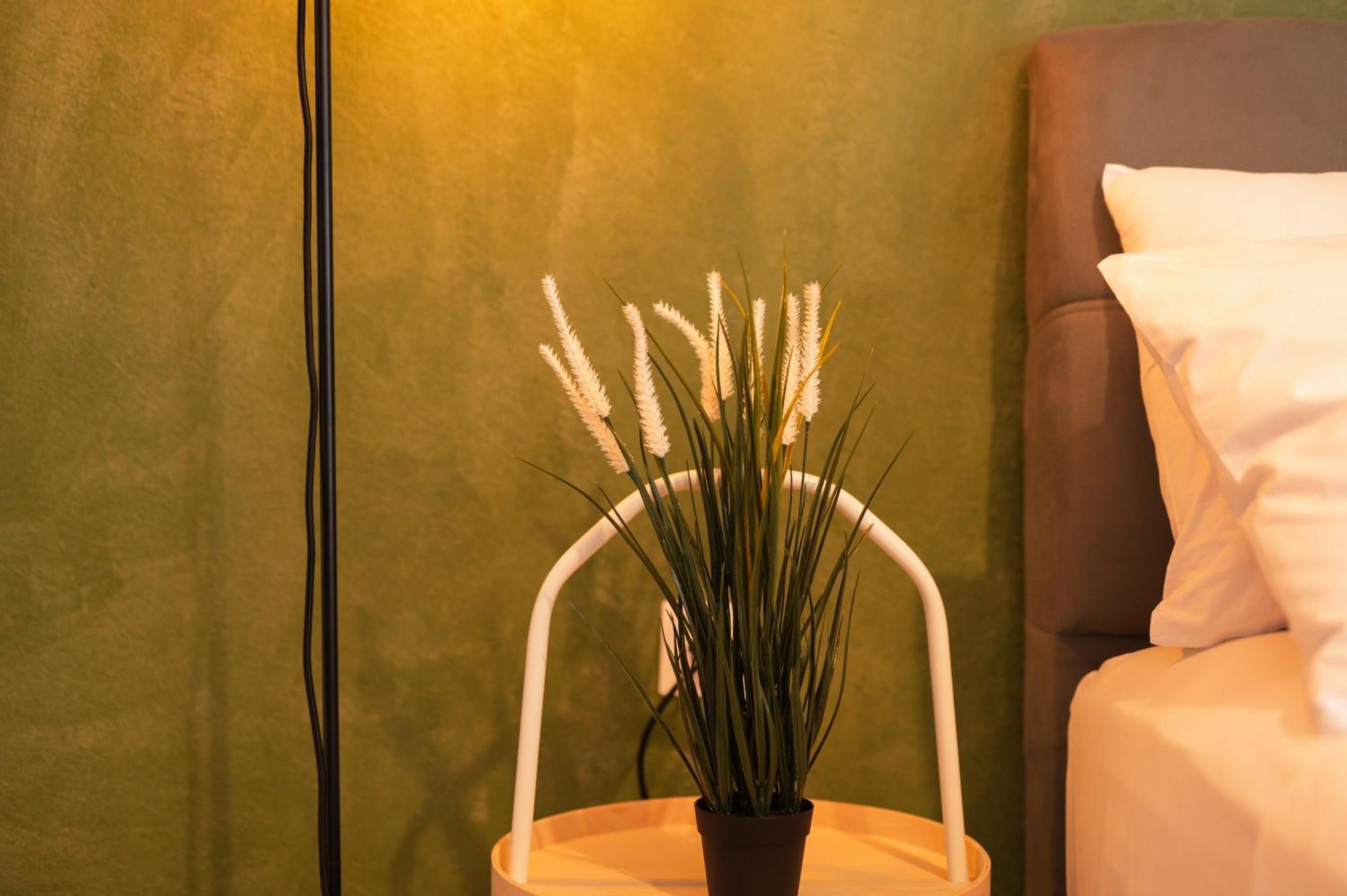 Ancient Forest Suite By Heeaven'S Hall Luxury Suites Alexandroupoli Esterno foto